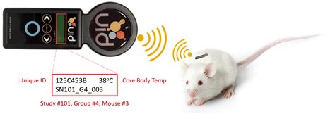 rfid tag mouse|scannable mouse tags.